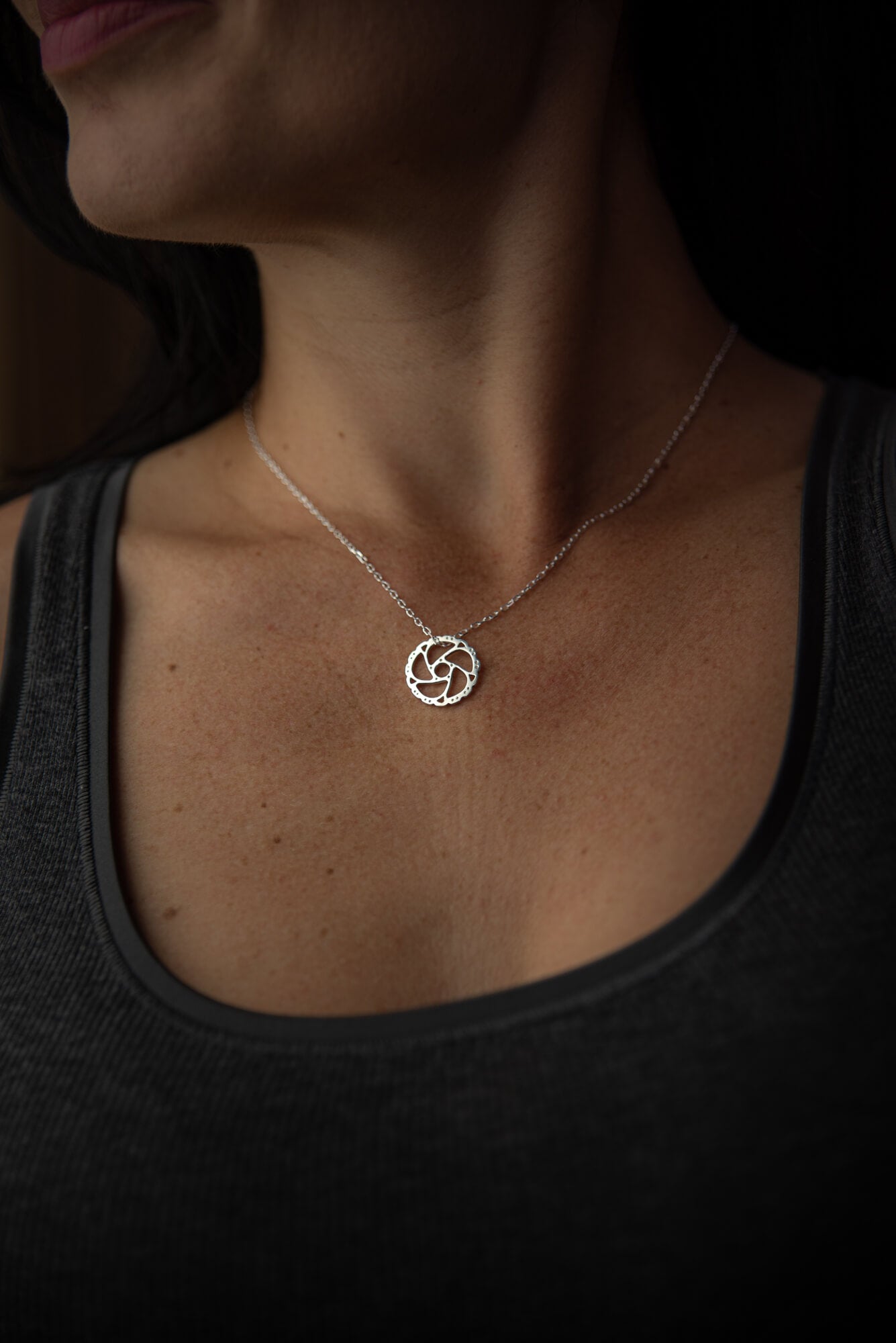 Disc Brake Pendant